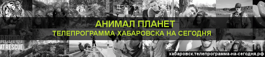 Телепрограмма на сегодня канала Анимал Планет, Хабаровск