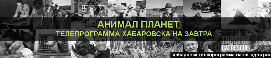 Телепрограмма на завтра канала Анимал Планет, Хабаровск