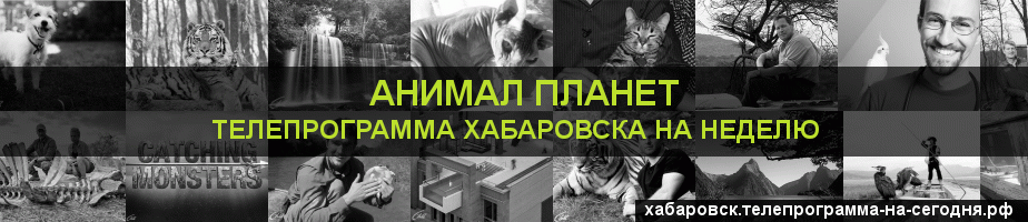 Телепрограмма на неделю канала Анимал Планет, Хабаровск